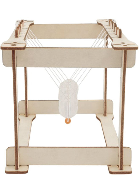 STEM Toy, Wooden Newton's Cradle, Montessori Toy, DIY 3D puzzle, eco-friendly, handmade, educational toy
