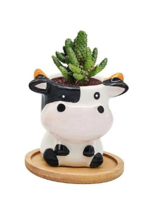 Cute Succulent Indoor Plant Pot, Succulent Pots with Drainage Hole, Cow