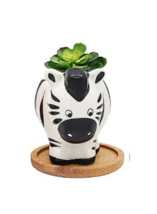 وعاء نباتات داخلي لطيف، أوعية عصارية مع فتحة تصريف، حمار وحشي