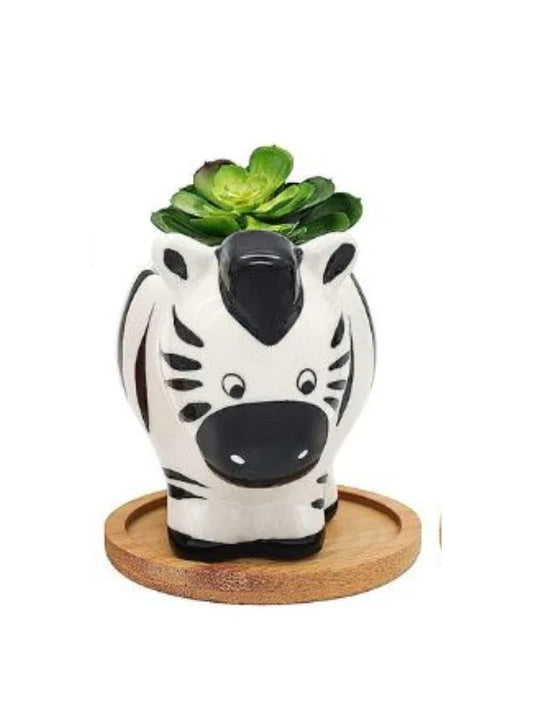 Cute Succulent Indoor Plant Pot, Succulent Pots with Drainage Hole, Zebra