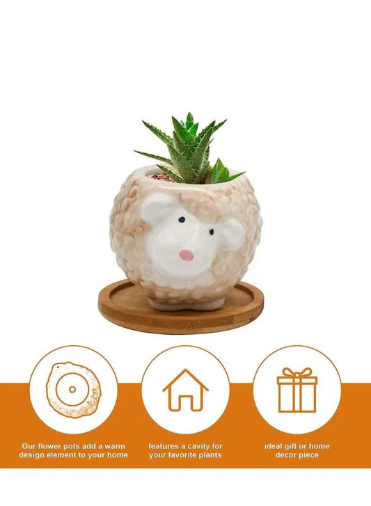 Cute Succulent Indoor Plant Pot, Succulent Pots with Drainage Hole, Sheep
