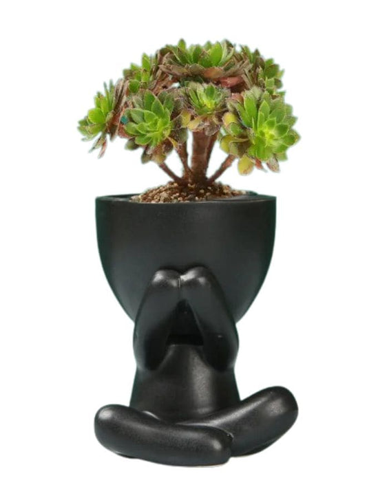 indoor decor small plant pot