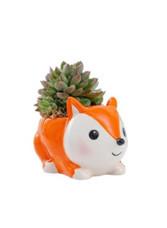 Cute Indoor Plant Pot, Succulent Pots with Drainage Hole, Fox