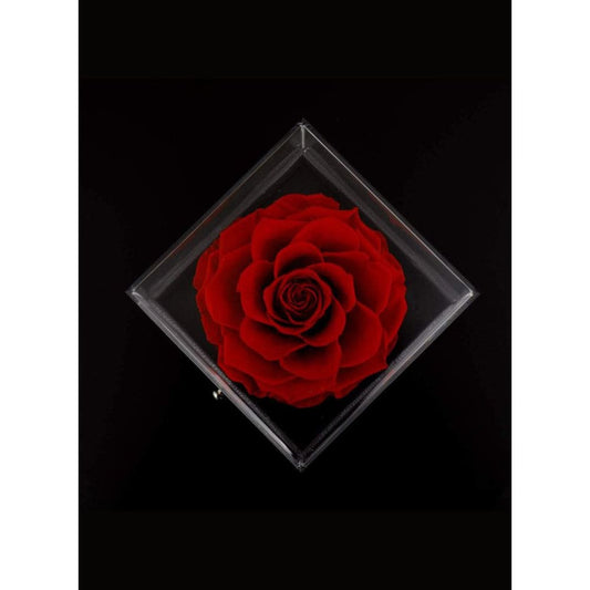 Eternal Rose Gift Box, Handmade Fresh Preserved Rose Gift for Her on Birthday, Christmas, Mother's Day, Valentine's Day Fatio General Trading