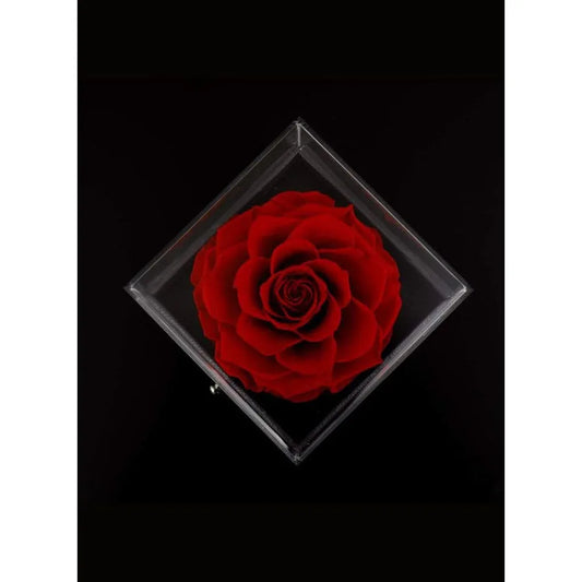 Eternal Rose Gift Box, Handmade Fresh Preserved Rose Gift for Her on Birthday, Christmas, Mother's Day, Valentine's Day Fatio General Trading