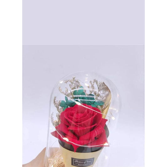 LED Light Dried Flowers In Glass Dome Artificial Dried Flower Bouquet Gift For Valentine's Day/Birthday/Christmas/Wedding Gift Fatio General Trading