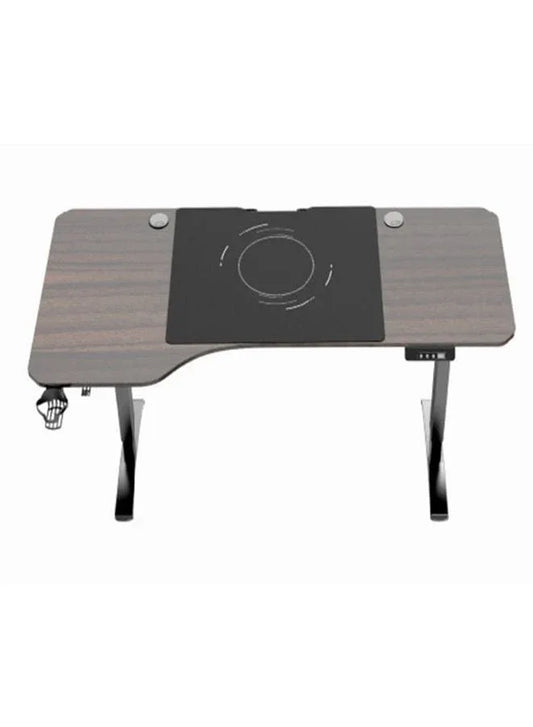 Gaming Desk