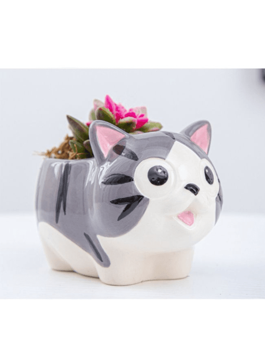 Cute Indoor Plant Pot, Succulent Pots with Drainage Hole, Cat