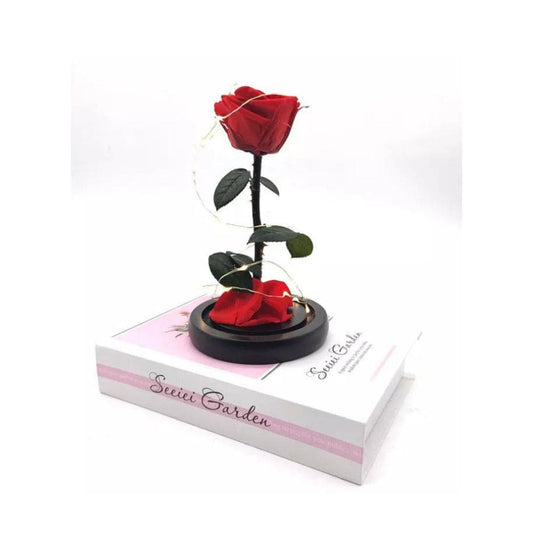 Preserved Rose Enchanted Rose Red Silk Rose in Glass Dome with LED Lights Pine Base, Romantic Home Decor Gifts for Mothers Day Wedding Anniversary Birthday Valentines Day Fatio General Trading