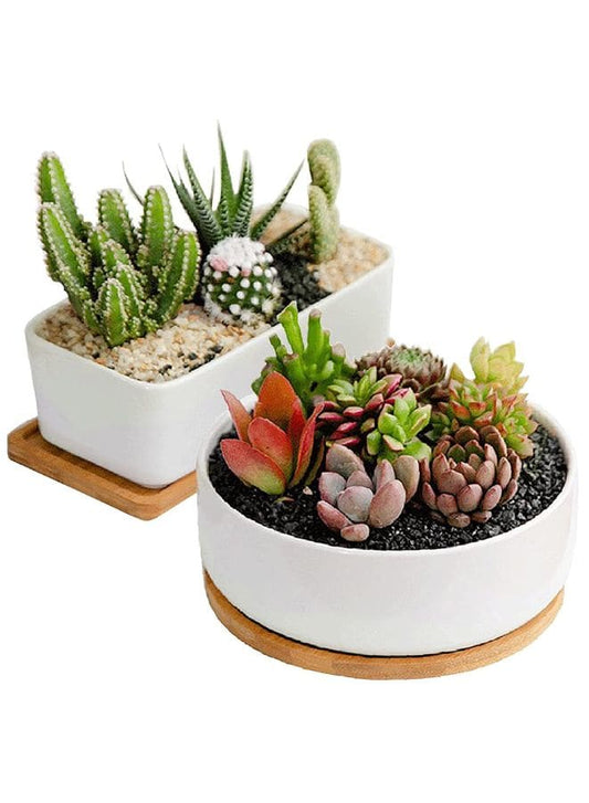 indoor plant pots