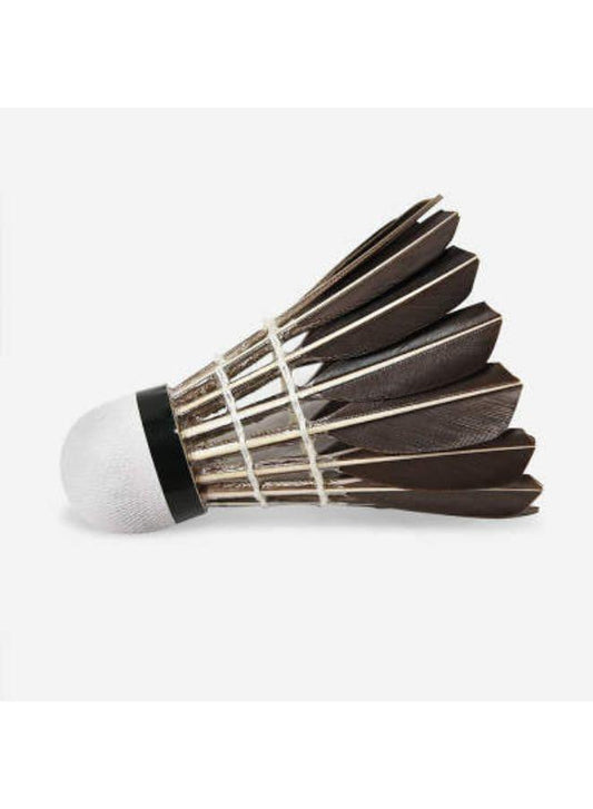 Whizz 6 PCS Feather Badminton Shuttle Goose Curving Feather Badminton Balls Sports Training Badminton Balls for Indoor Outdoor Sports, Black Fatio General Trading