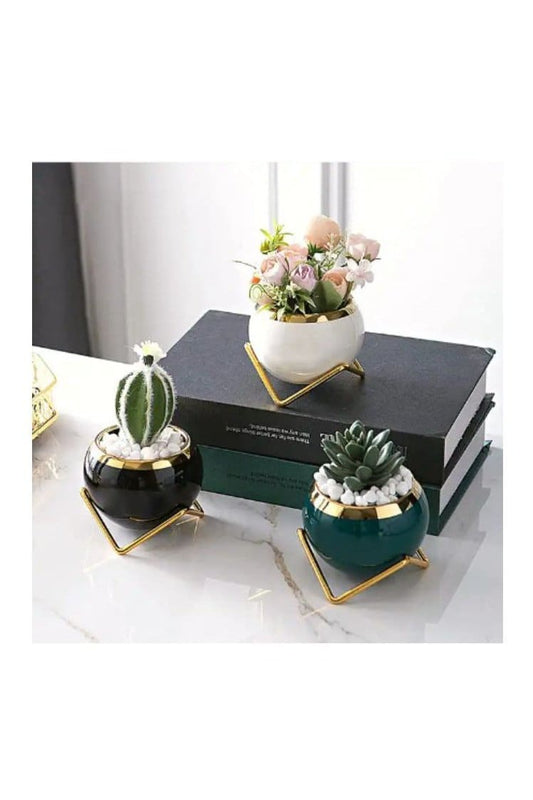 3pcs Small Succulent Indoor Flower Pots, Plant Pot Small Flowerpot Succulent Container for Store Office Home Interior Design (Plants NOT Included) - Fatio General Trading