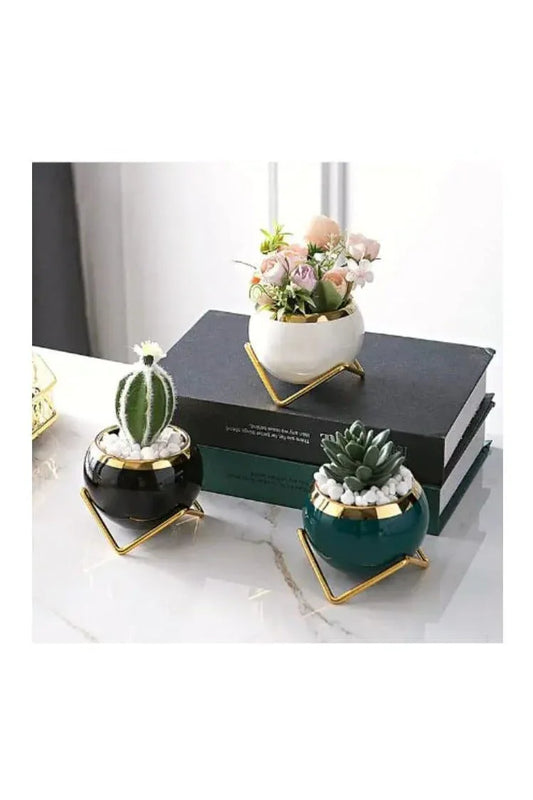 3pcs Small Succulent Indoor Flower Pots, Plant Pot Small Flowerpot Succulent Container for Store Office Home Interior Design (Plants NOT Included) - Fatio General Trading