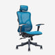 Ergonomic Chairs