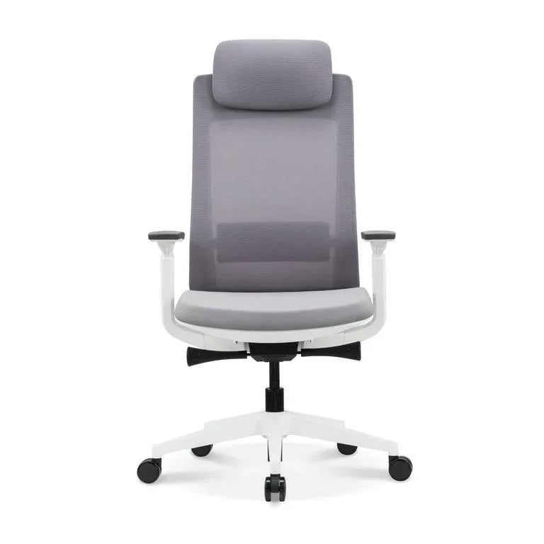 Modern Ergonomic Chair