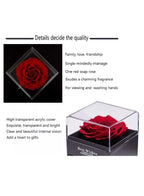 Rose Gifts for Her, Jewelry Box with Heart Shape Silver Necklace for Valentines Day with Greeting Card and Bag