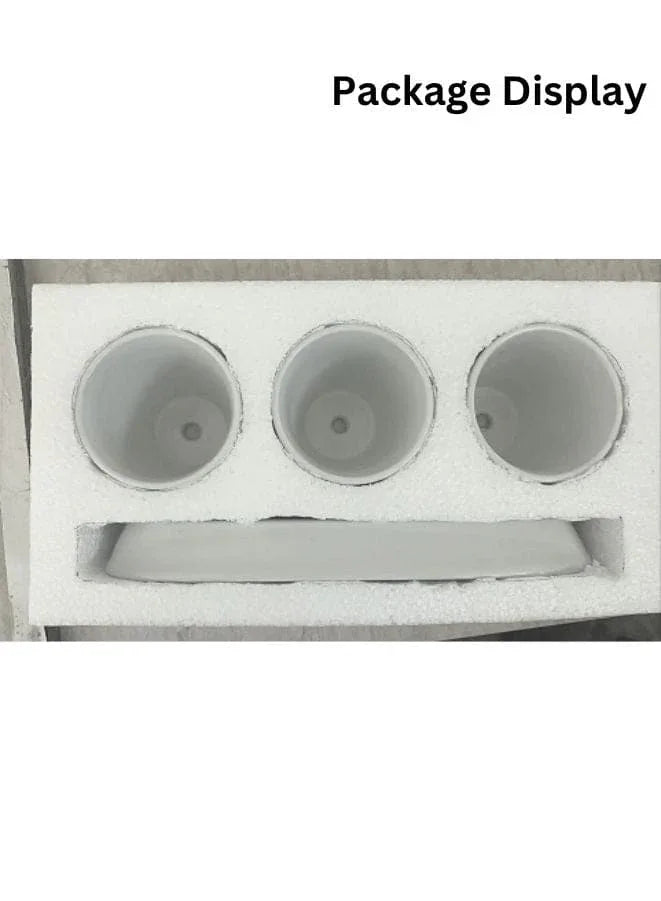 indoor plant pot with trey