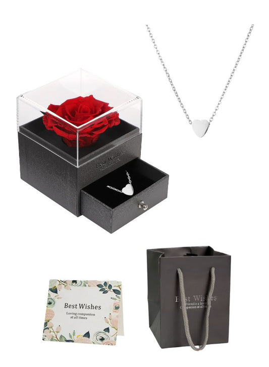 Rose Gifts for Her, Jewelry Box with Heart Shape Silver Necklace for Valentines Day with Greeting Card and Bag