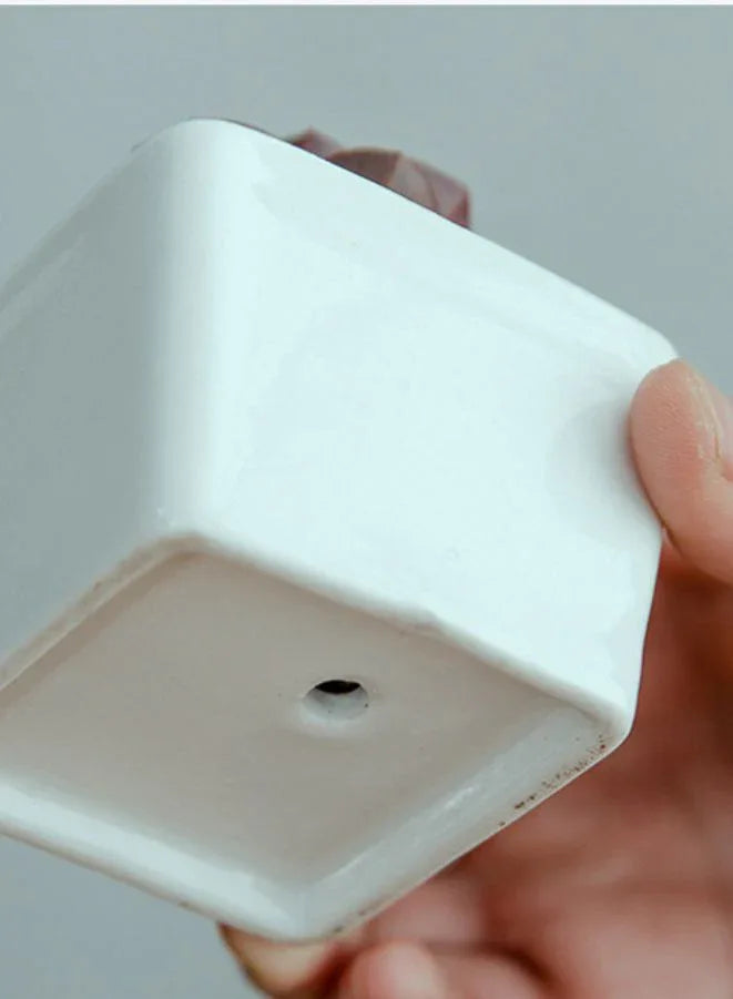 وعاء نباتات عصارية أبيض مع صينية من الخيزران وفتحة تصريف للمكتب والحديقة المنزلية (النبات غير متضمن)