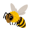 Apitoxin (bee venom)