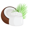Coconut butter