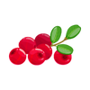 Raspberry ketone
