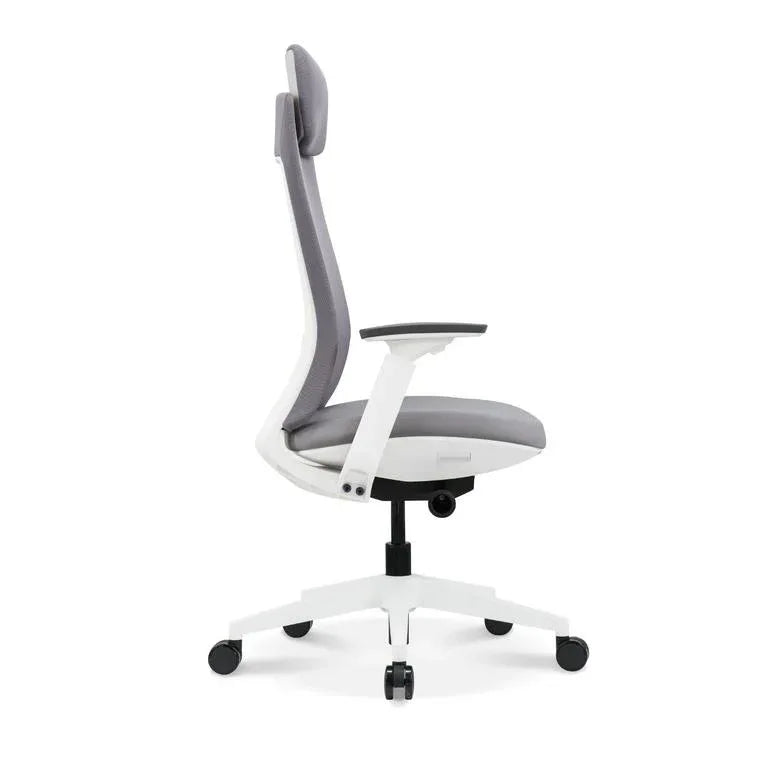 Ergonomic Office Chair