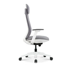 Ergonomic Office Chair