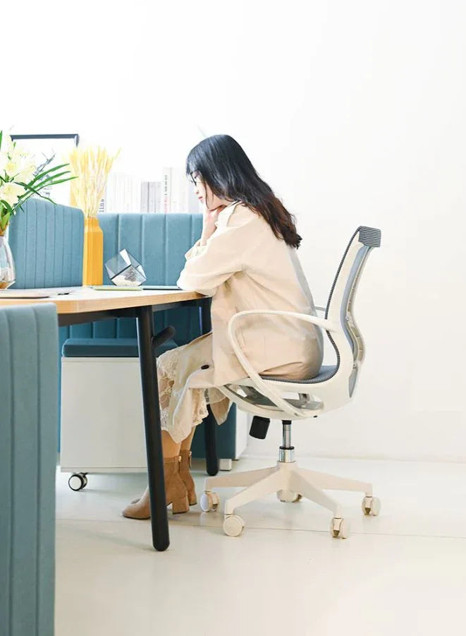  Middle Back Ergonomic Chair