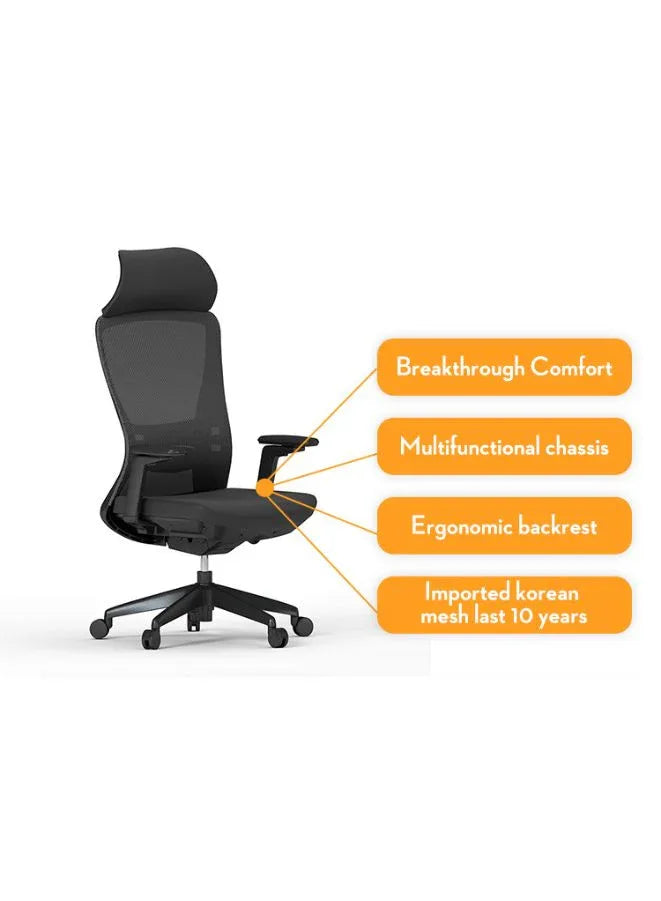 High Back Mesh Office Chair with Back Support and Fixed Headrest, Breathable Design for Long Use, Height Adjustable with Tilt and Lock, Grade 3 Gas Lift, Fiberglass Base