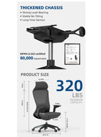 High Back Mesh Office Chair with Back Support and Fixed Headrest, Breathable Design for Long Use, Height Adjustable with Tilt and Lock, Grade 3 Gas Lift, Fiberglass Base