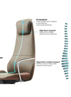 Ergonomic leather office chair with labeled support features on a white background