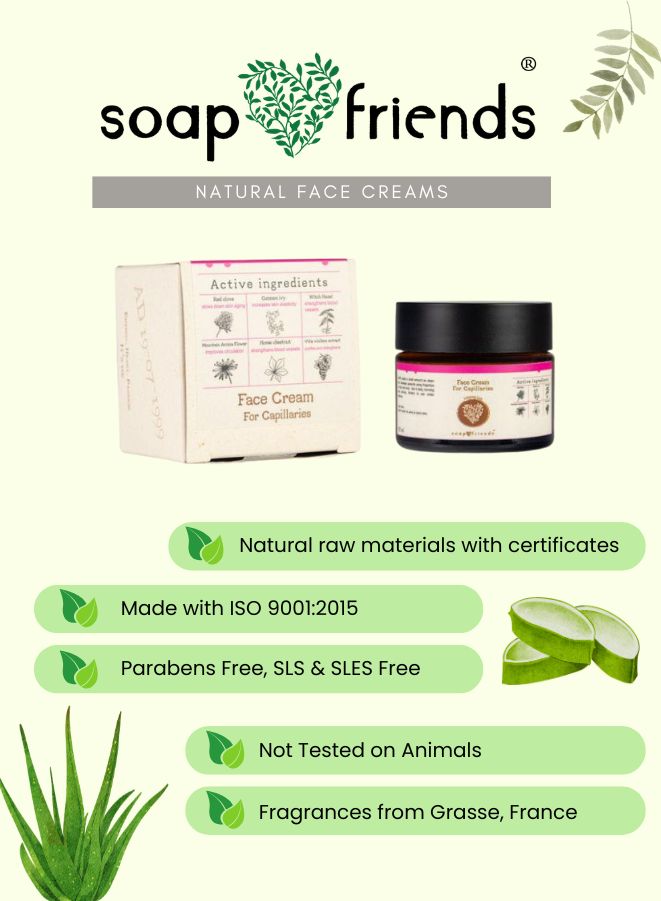 Soap & Friends natural face cream packaging with aloe vera illustration on a light green background