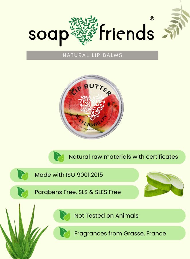 Soap & Friends lip balm packaging with aloe vera plant on a green background