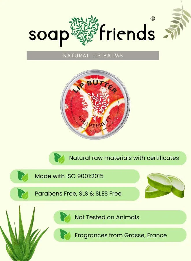 Soap & Friends lip balm packaging with aloe vera illustration on a green background