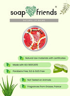 Soap & Friends lip balm packaging with aloe vera illustration on a green background