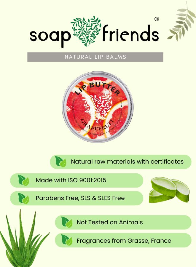 Soap & Friends lip balm packaging with aloe vera illustration on a green background