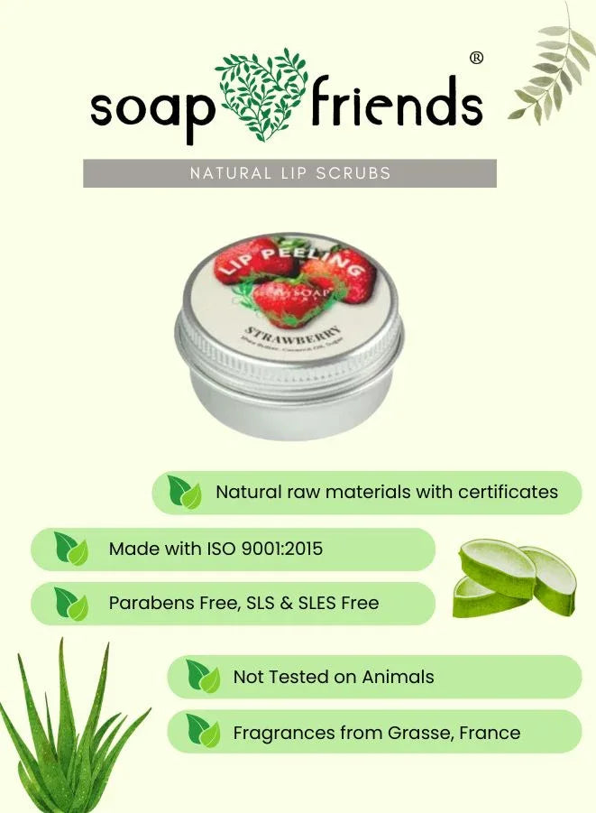 Soap & Friends lip scrub packaging with aloe vera leaves on a light green background