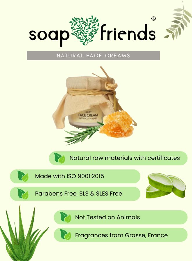 soap&friends natural face creams with a jar of cream, aloe vera, and other natural elements on a light green background.