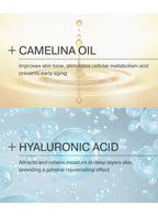 Active ingredients Camelina oil and Hyaluronic Acid text on a light background