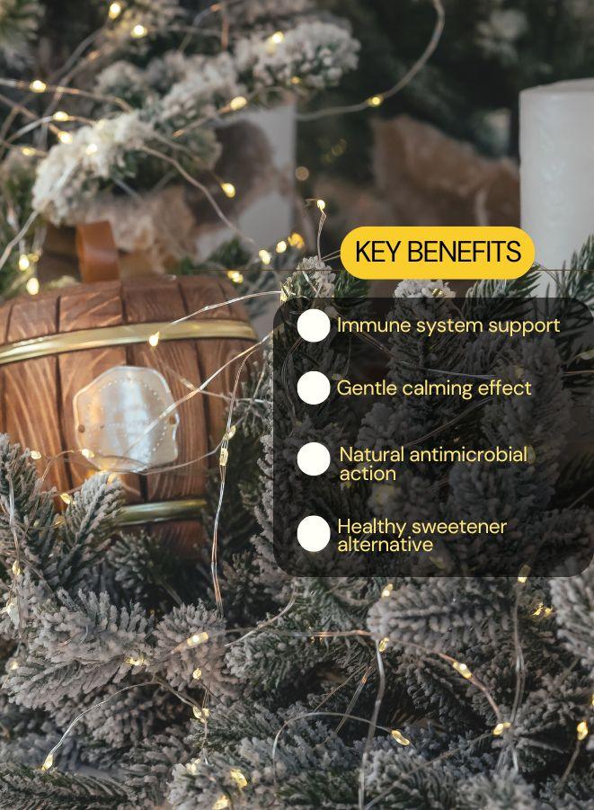 Decorative product with key benefits listed, surrounded by festive elements like lights and a wooden barrel.