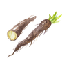 Horseradish extract