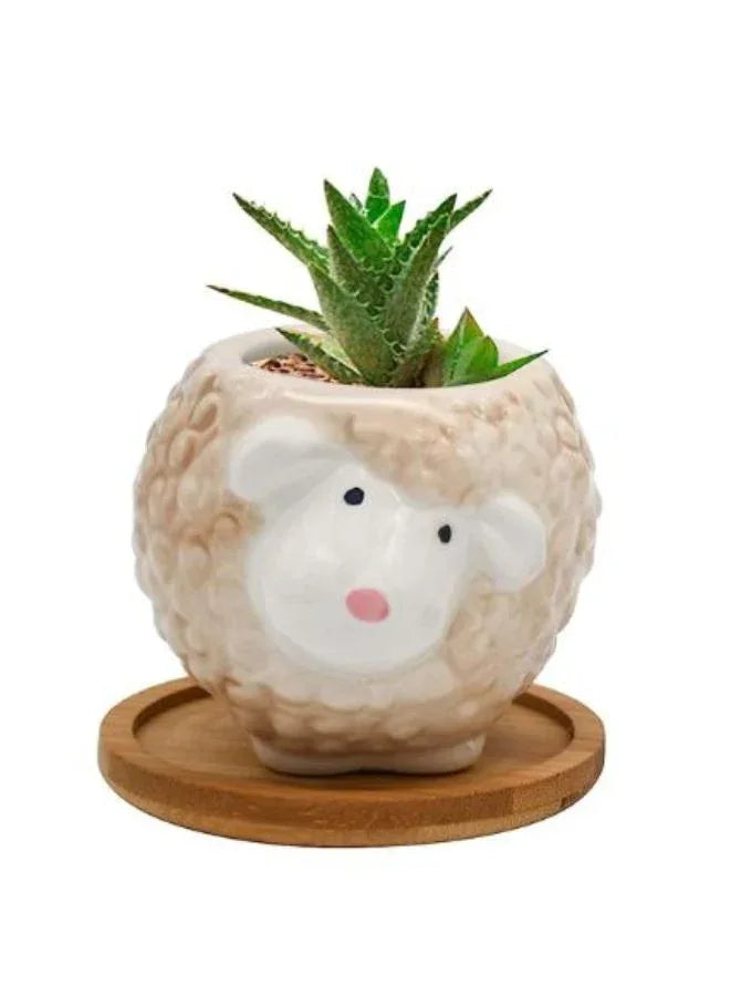 Cute Succulent Indoor Plant Pot, Succulent Pots with Drainage Hole, Sheep