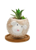Cute Succulent Indoor Plant Pot, Succulent Pots with Drainage Hole, Sheep