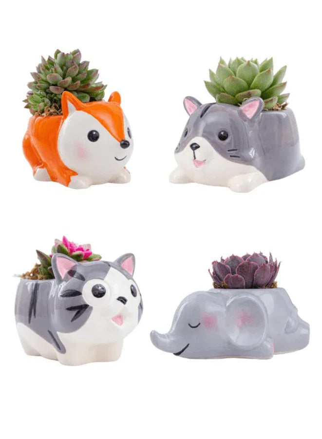 Cute Indoor Plant Pot, Succulent Pots with Drainage Hole, Cat