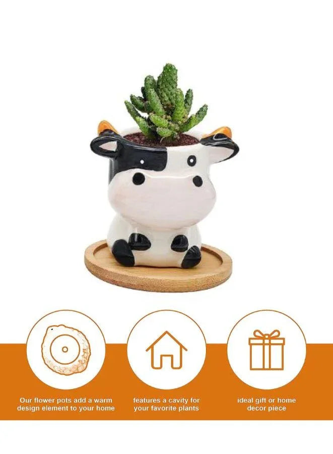 وعاء نباتات داخلي لطيف، أوعية عصارية مع فتحة تصريف، بقرة