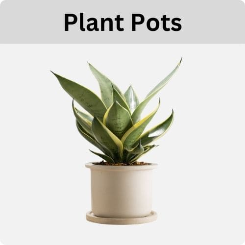 view our plant pot collection