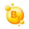 فيتامين ب5