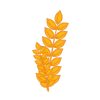 Wheat germ oil