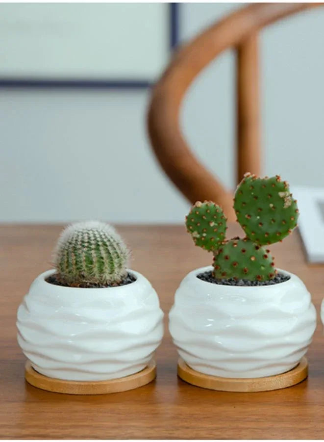 وعاء نباتات عصارية أبيض مع صينية من الخيزران وفتحة تصريف للمكتب والحديقة المنزلية (النبات غير متضمن)